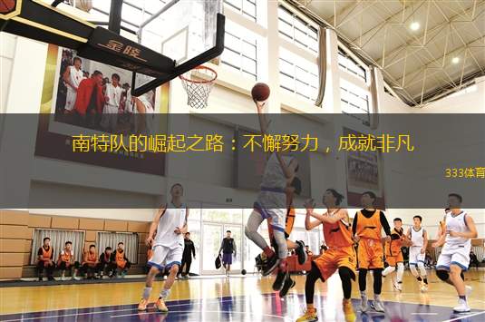 南特隊(duì)的崛起之路：不懈努力，成就非凡
